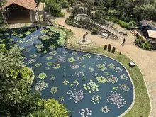Los turistas saben que Cali es donde deben estar: venta de tiquetes y el  gasto de los visitantes siguen creciendo en 2025