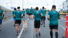 En agosto, regresan las carreras atléticas de la Secretaría del Deporte y la Recreación de Cali