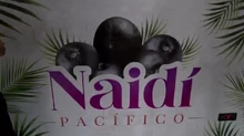 El naidí: una fruta exótica que todos aman