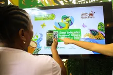 Con ‘Bella’, el primer chatbot ambiental, cientos de caleños están aprendiendo a cuidar el ambiente en el  Petronio Álvarez