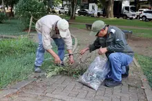 Floreció la esperanza en Cali, floreció el burilico