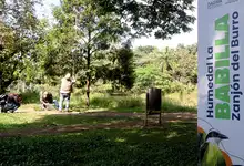 Floreció la esperanza en Cali, floreció el burilico