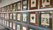 La Institución Educativa Oficial Santa Librada lidera el camino hacia un  futuro sostenible con el Foro Ambiental 2025