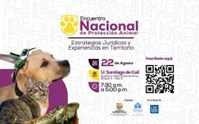 El 22 de agosto, Cali lanza una ruta contra el maltrato animal