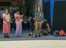 El 22 de agosto, Cali lanza una ruta contra el maltrato animal