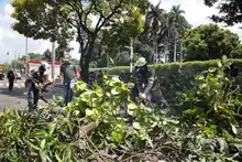 ¡Una luz por Cali! Alcaldía de Cali decreta tres días de duelo e invita a acompañar encuentro este domingo, en el punto del atentado