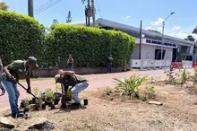 Cali siembra vida y transforma el espacio donde el terrorismo causó dolor