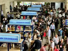 Cali es donde debes estar: un destino con muchas razones para visitar