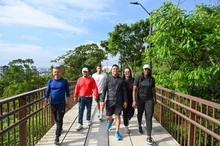 Así avanza el tramo IV del Proyecto Integral de Cristo Rey