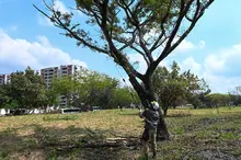 Esta es la historia de cómo la comunidad y la Alcaldía de Cali recuperaron una importante zona verde para el disfrute de la ciudadanía