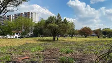 Esta es la historia de cómo la comunidad y la Alcaldía de Cali recuperaron una importante zona verde para el disfrute de la ciudadanía