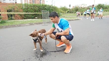 Los caleños vibraron en el sur de la ciudad con la Carrera Atlética Río Lili 7K