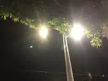 Modernización del alumbrado público transforma la vida nocturna y el  comercio en la avenida Sexta