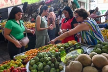 Redescubriendo sabores y colores en la galería de Alameda