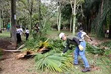 Alcaldía y comunidad hacen equipo para hacer de Cali una ciudad más verde, segura y sostenible