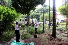 Alcaldía y comunidad hacen equipo para hacer de Cali una ciudad más verde, segura y sostenible