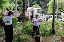 Alcaldía y comunidad hacen equipo para hacer de Cali una ciudad más verde, segura y sostenible