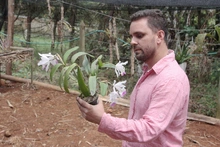 Institución Educativa Pichindé recibirá apoyo técnico del Orquideorama de Cali