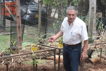 Institución Educativa Pichindé recibirá apoyo técnico del Orquideorama de Cali
