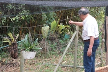 Institución Educativa Pichindé recibirá apoyo técnico del Orquideorama de Cali