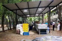 Cooperación internacional está transformando la cultura caleña: impulsa la economía circular, el reciclaje y la correcta disposición de residuos