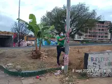 Sigue avanzando la recuperación del espacio público en Cali: Uaesp activó jornada de limpieza en gran tramo de la calle quinta