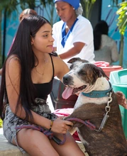 ¿Fue testigo de maltrato animal? Conozca cómo denunciar correctamente estos casos en Cali