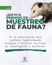 Muestreo de Fauna - 1