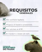 Muestreo de Fauna - 2