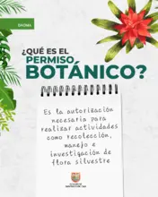 Permiso Botanico - 1