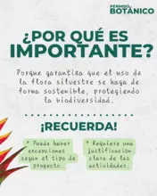 Permiso Botanico - 4