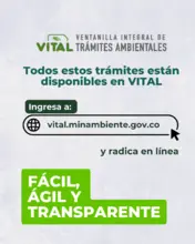 Tramites Vital - 6