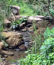Comunidad y Alcaldía de Cali recuperan una quebrada en zona de ladera