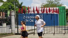 Este domingo, caleños corren por la biodiversidad en la Carrera del Zoo  2025