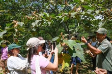 Comunicadores de Colombia, Venezuela y Brasil conocen el  modelo de conservación ambiental de Cali