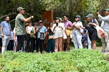 Comunicadores de Colombia, Venezuela y Brasil conocen el  modelo de conservación ambiental de Cali