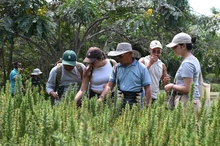 Comunicadores de Colombia, Venezuela y Brasil conocen el  modelo de conservación ambiental de Cali