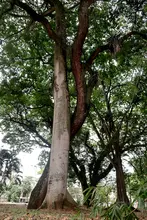 Historia de un amor centenario en el corazón de la Comuna 17