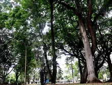 Historia de un amor centenario en el corazón de la Comuna 17