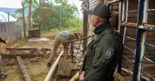 Alcaldía acata orden de demolición de construcciones irregulares en zona de reserva forestal