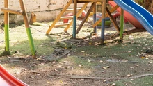 Invertir para crecer: $407 millones para recuperar infraestructura educativa de la IEO Santa Fe en su sede Estado de Puerto Rico