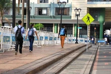 Inspirada en el ejemplo de la COP16, Cali vivirá el ‘Día de la Movilidad  Activa y Sostenible’