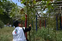 Cali empodera comunidades como ‘Guardianes del Jarillón’: gobernanza efectiva para proteger el dique sobre el río Cauca
