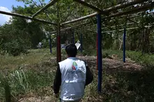 Cali empodera comunidades como ‘Guardianes del Jarillón’: gobernanza efectiva para proteger el dique sobre el río Cauca