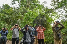 Simposio de Aviturismo en el marco de la Semana de la Biodiversidad busca posicionar Cali como destino sostenible