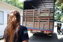 Animales recuperados por el Dagma fortalecerán programas de reproducción de vida silvestre