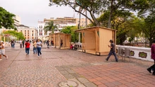 La Semana de la Biodiversidad se vive con arte, música y cultura para toda la ciudadanía