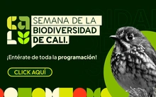 SEMANA-BIODIVERSIDAD-BANNER_188701_OK