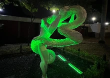 Los hitos de Cali se iluminan de verde para celebrar el ‘Día Mundial del Turismo’ y darle la bienvenida a la ‘Semana de la Biodiversidad’