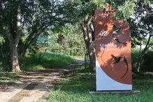 El domingo 28 de septiembre hay 604 oportunidades para descubrir  algo maravillo en Cali: ‘XI Censo de Aves’